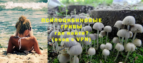 амф Слюдянка